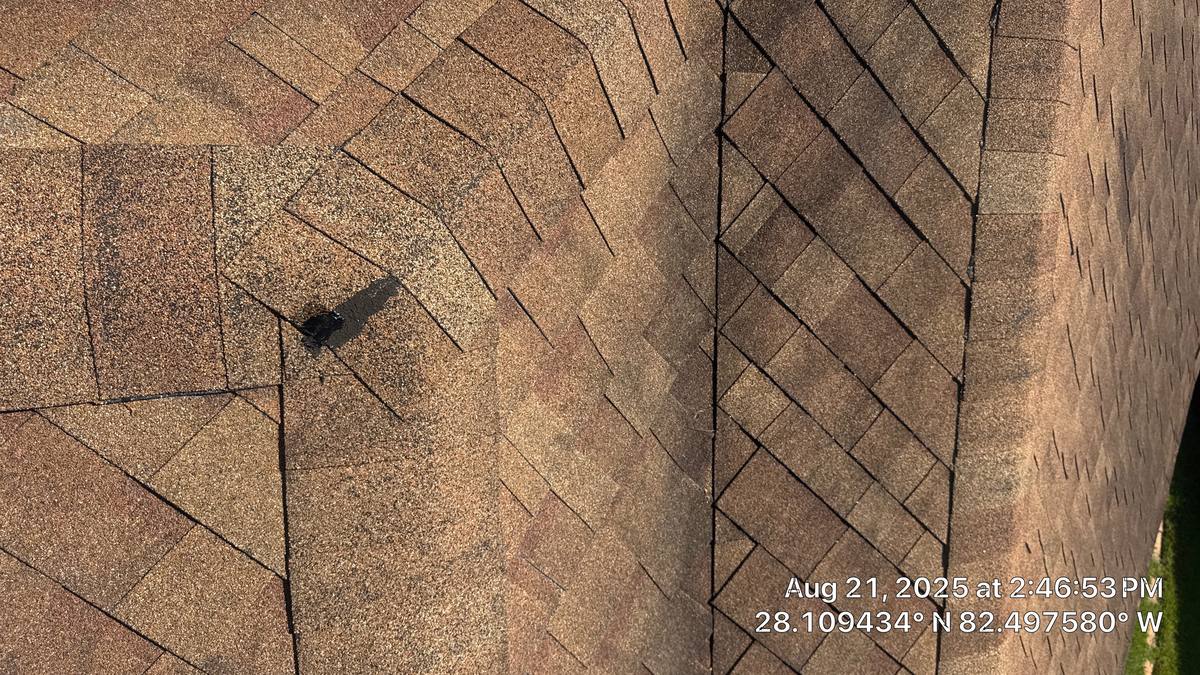 shingle roof replacement in Tampa, Florida
