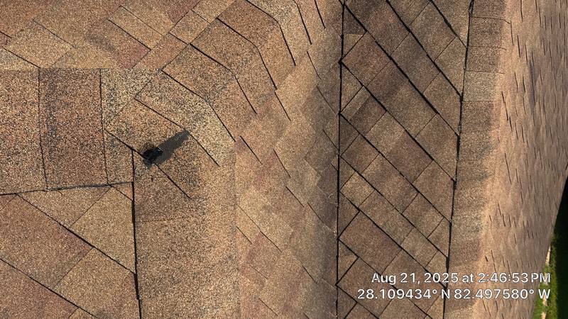 residential shingle roof replacement by Hloska Roofing in Tampa