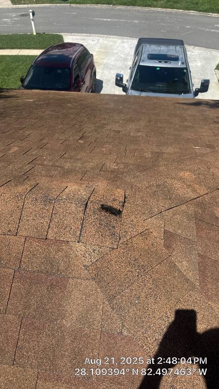 completed roofing project in Tampa FL