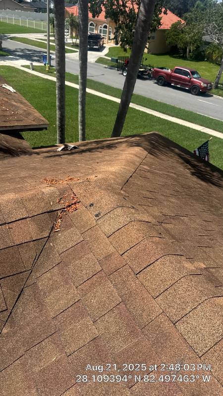 roofing project near Pleasant Lake Dr in Tampa