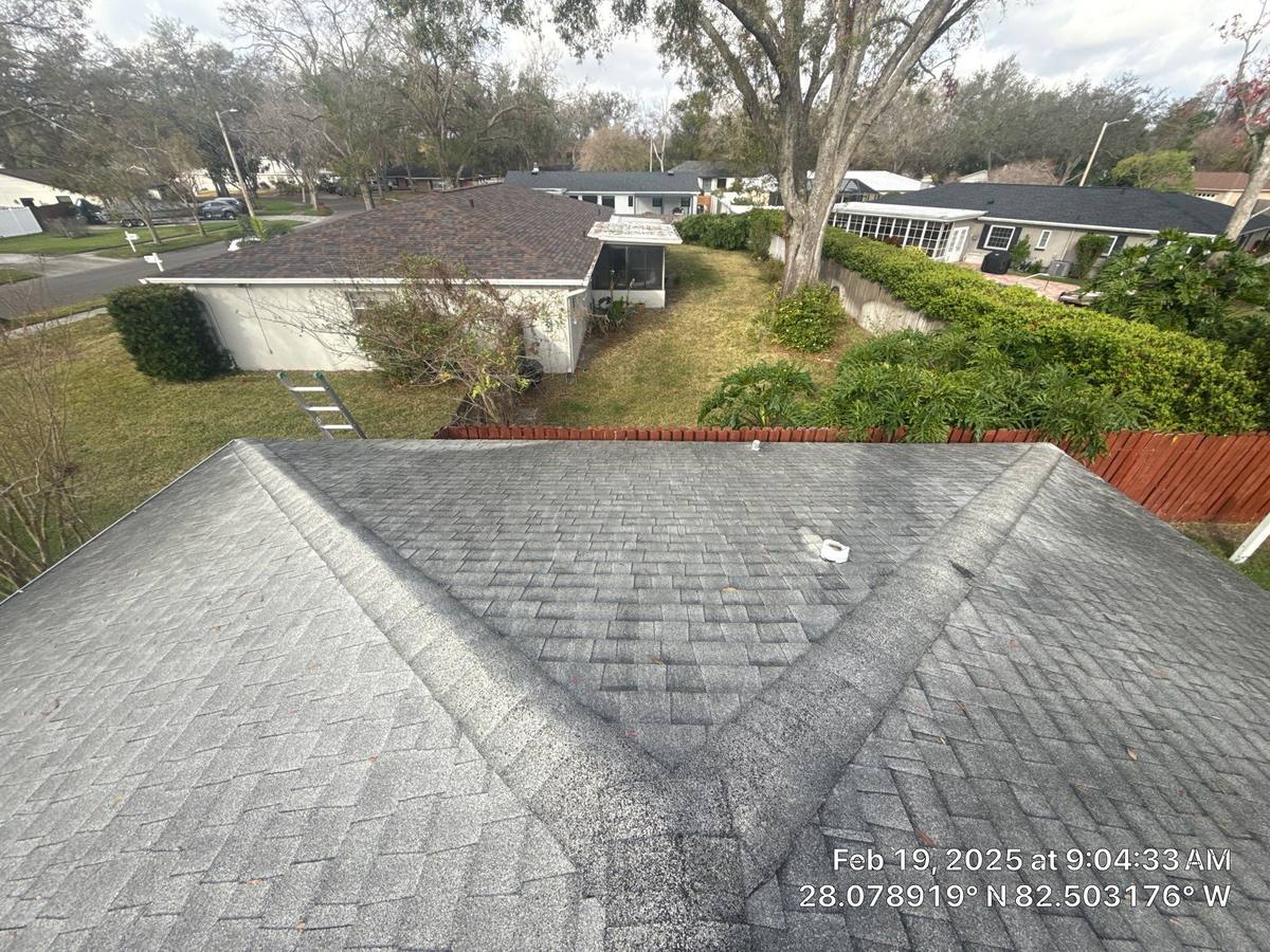 shingle roof replacement in Tampa, Florida