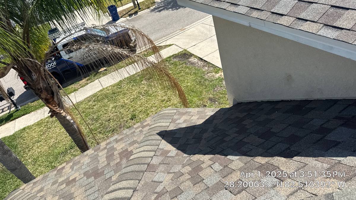 shingle roof replacement in Land O' Lakes, Florida