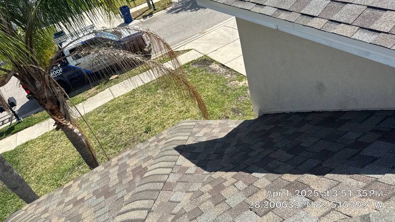 residential shingle roof replacement by Hloska Roofing in Land O' Lakes