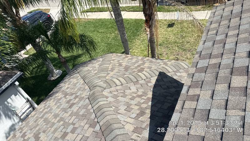 roofing project near Trinity Cottage Dr in Land O' Lakes