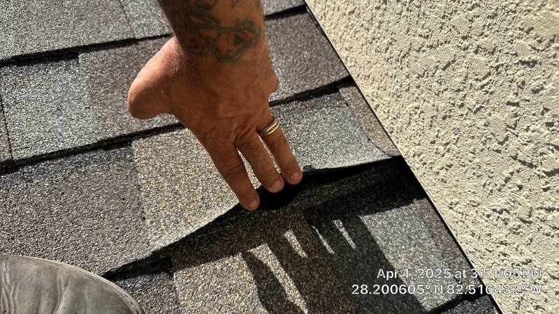 roofing project near Trinity Cottage Dr in Land O' Lakes
