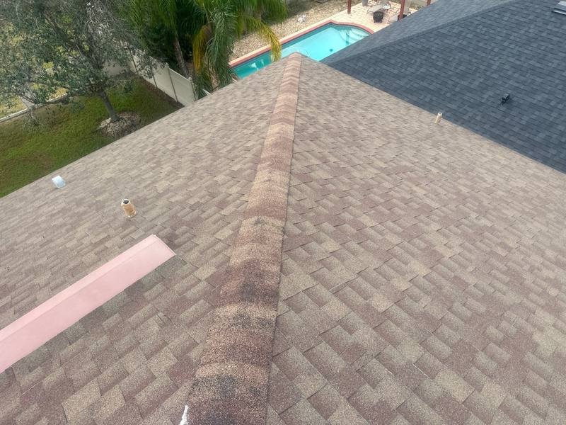 residential shingle roof replacement by Hloska Roofing in Tampa