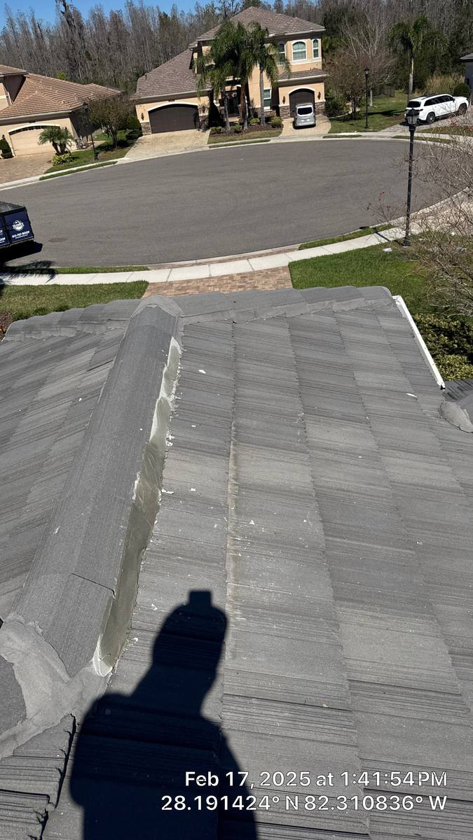 roof replacement in Wesley Chapel, Florida