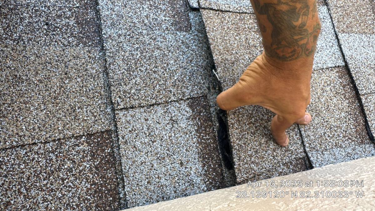 shingle roof replacement in Tampa, Florida