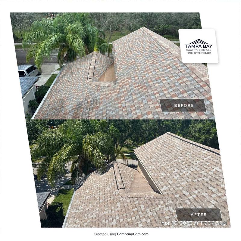 roofing project near Heron Walk Dr in Tampa