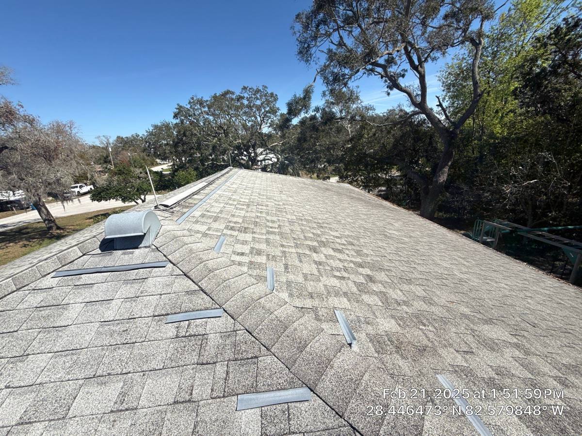 shingle roof replacement in Spring Hill, Florida