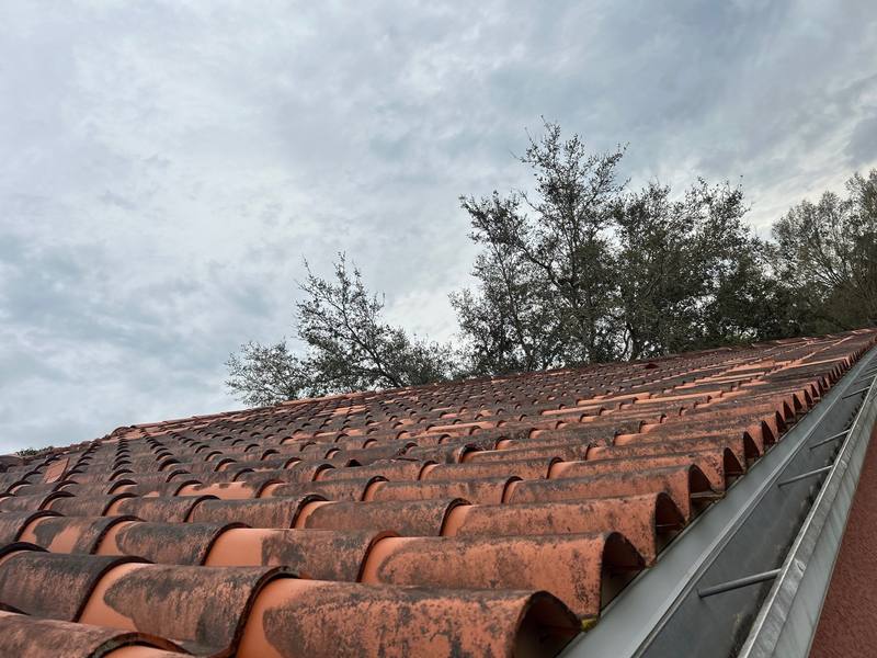 tile roof replacement in Wesley Chapel, Florida