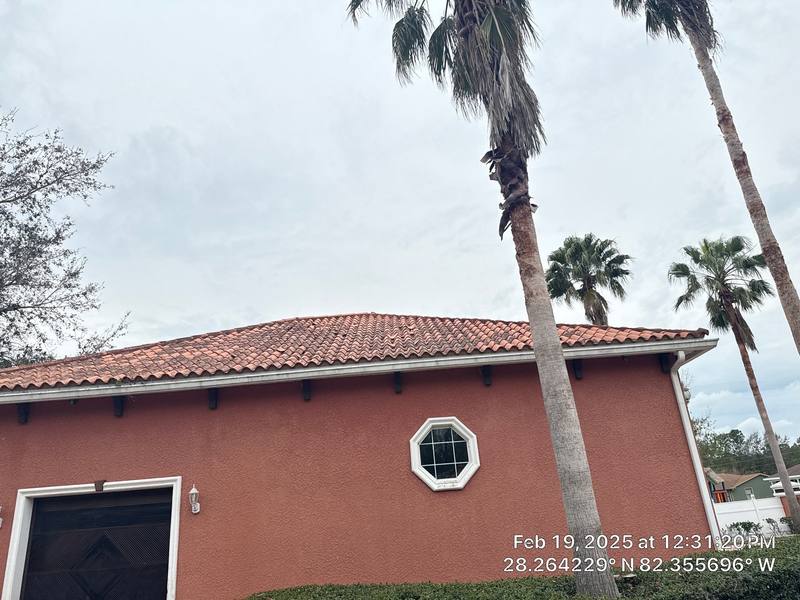 roofing project near Robin Roost Lane in Wesley Chapel