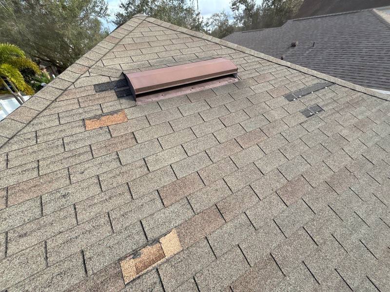 residential shingle roof replacement by Hloska Roofing in Riverview