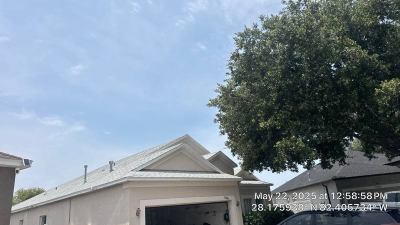 shingle roof replacement in Lutz, Florida