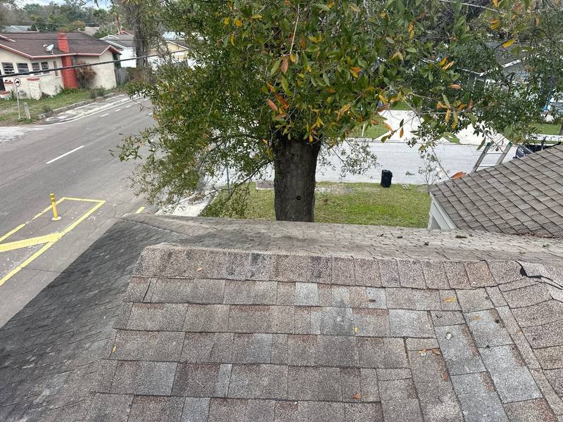 roofing project near W. Alva Street in Tampa