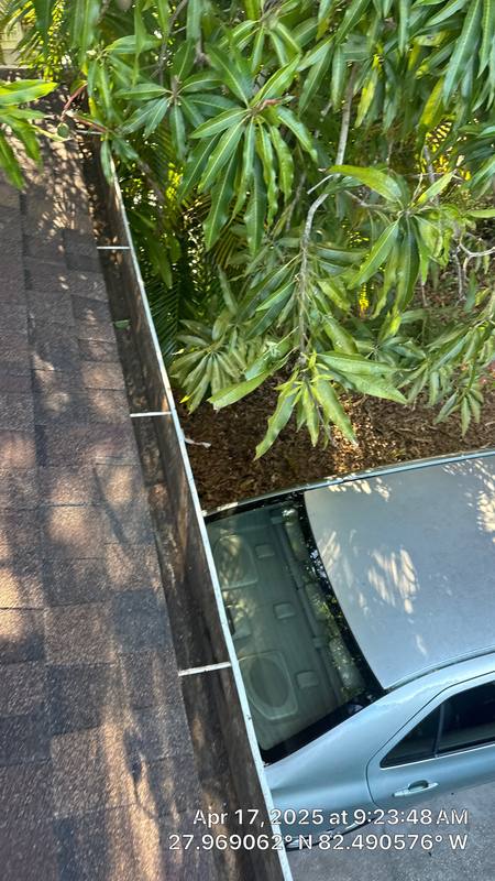 roofing project near W. Cordelia Street in Tampa