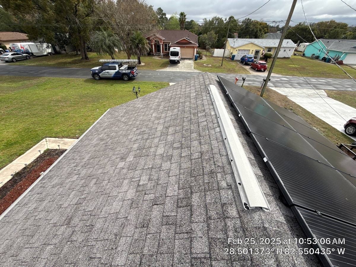 shingle roof replacement in Spring Hill, Florida