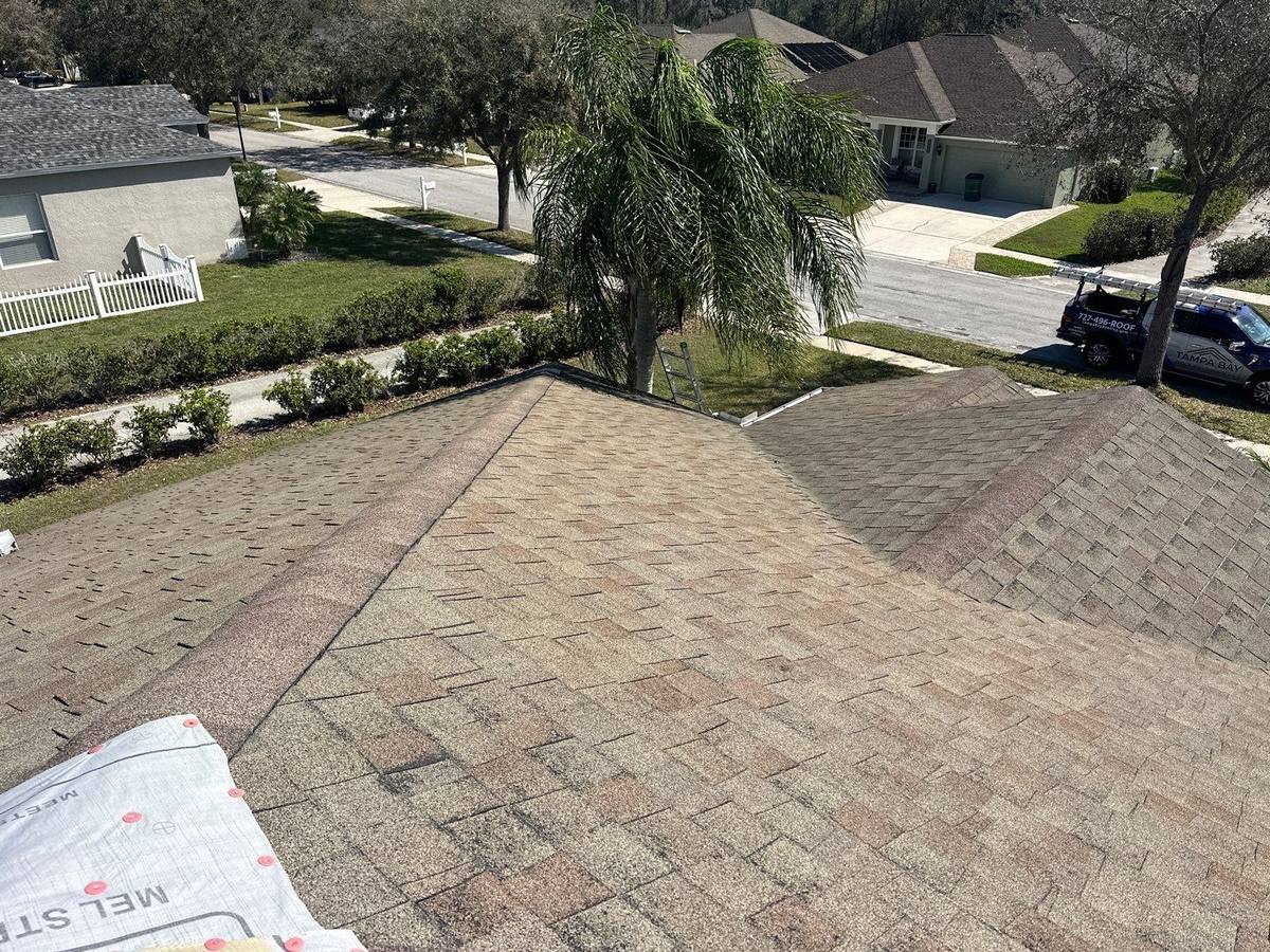 shingle roof replacement in Wesley Chapel, Florida