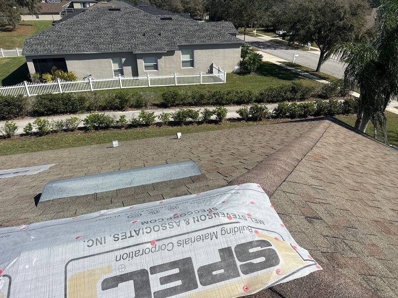 residential shingle roof replacement by Hloska Roofing in Wesley Chapel