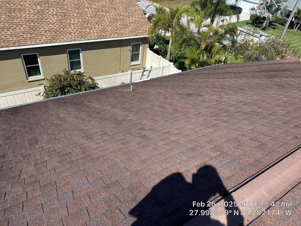 shingle roof replacement in Dunedin, Florida