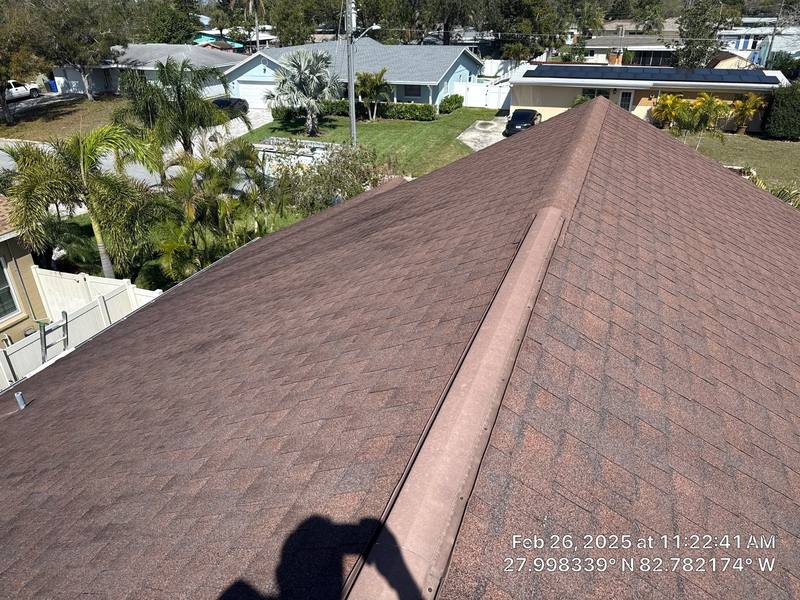 shingle roof replacement in Dunedin, Florida