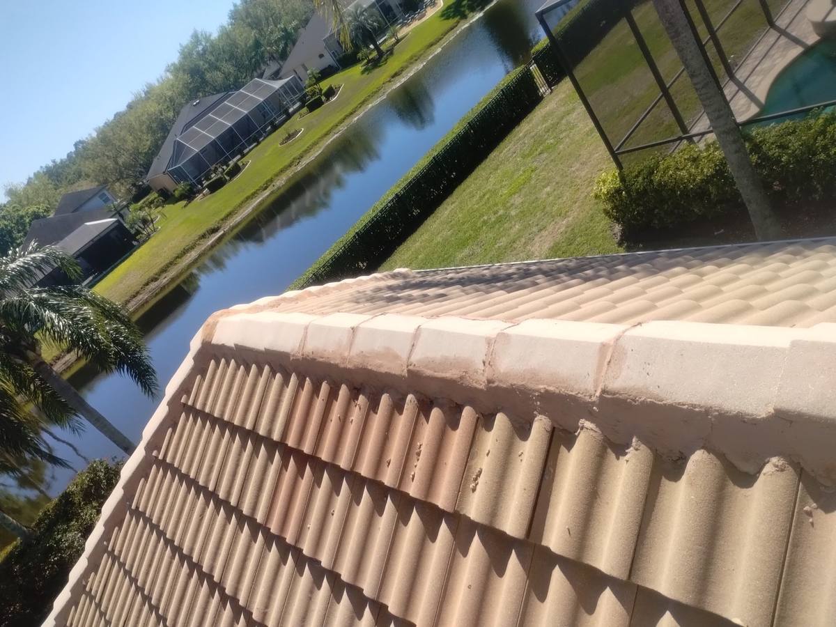 roof repair in Valrico, Florida