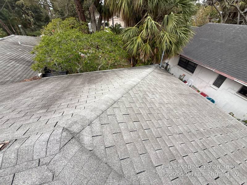 shingle roof replacement in Hudson, Florida