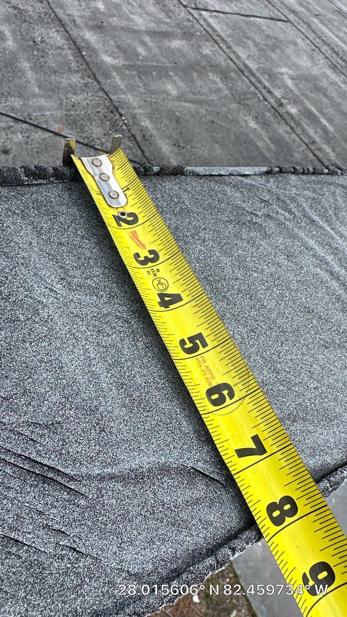 roof replacement in Tampa, Florida