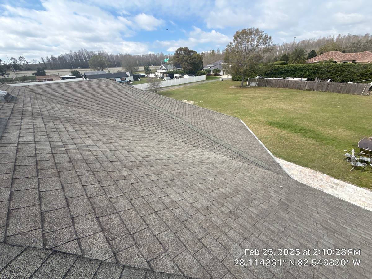 shingle roof replacement in Lutz, Florida