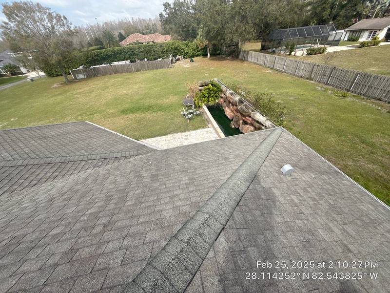shingle roof replacement in Lutz, Florida