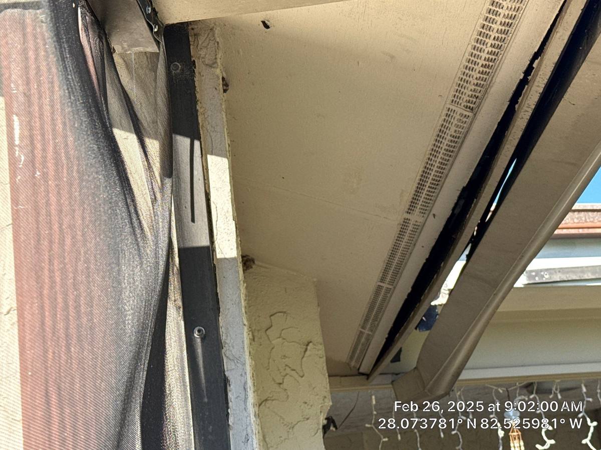 shingle roof replacement in Tampa, Florida
