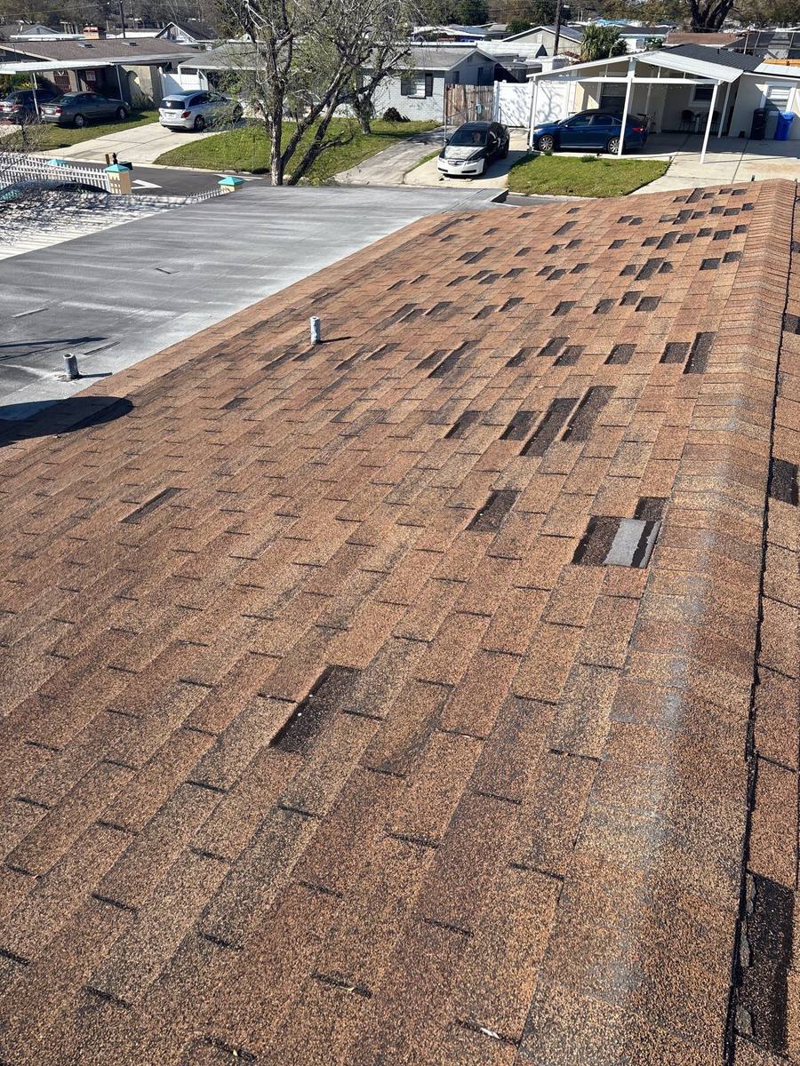 shingle roof replacement in Tampa, Florida