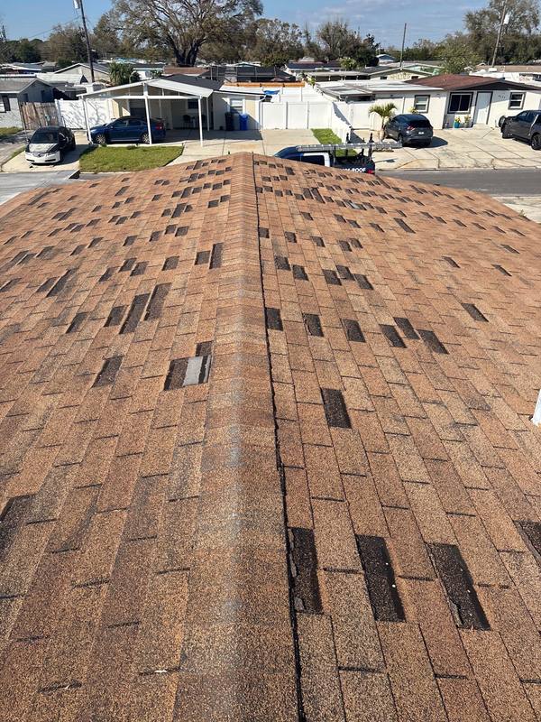 shingle roof replacement in Tampa, Florida