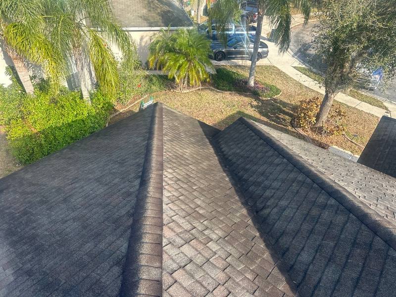 shingle roof replacement in Hudson, Florida