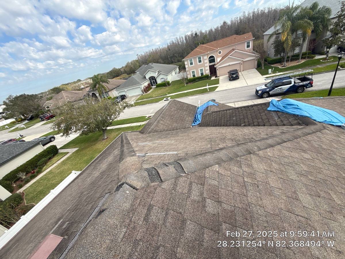 shingle roof replacement in Wesley Chapel, Florida