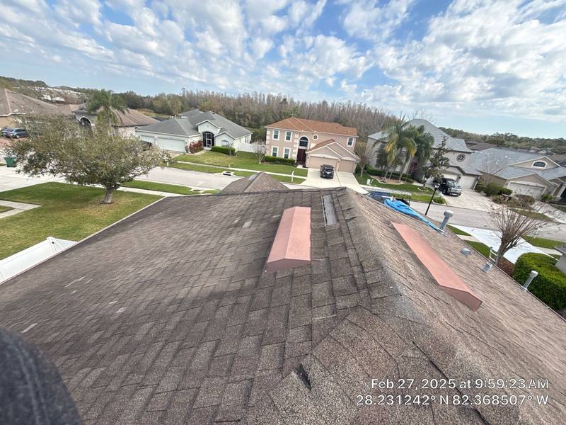residential shingle roof replacement by Hloska Roofing in Wesley Chapel