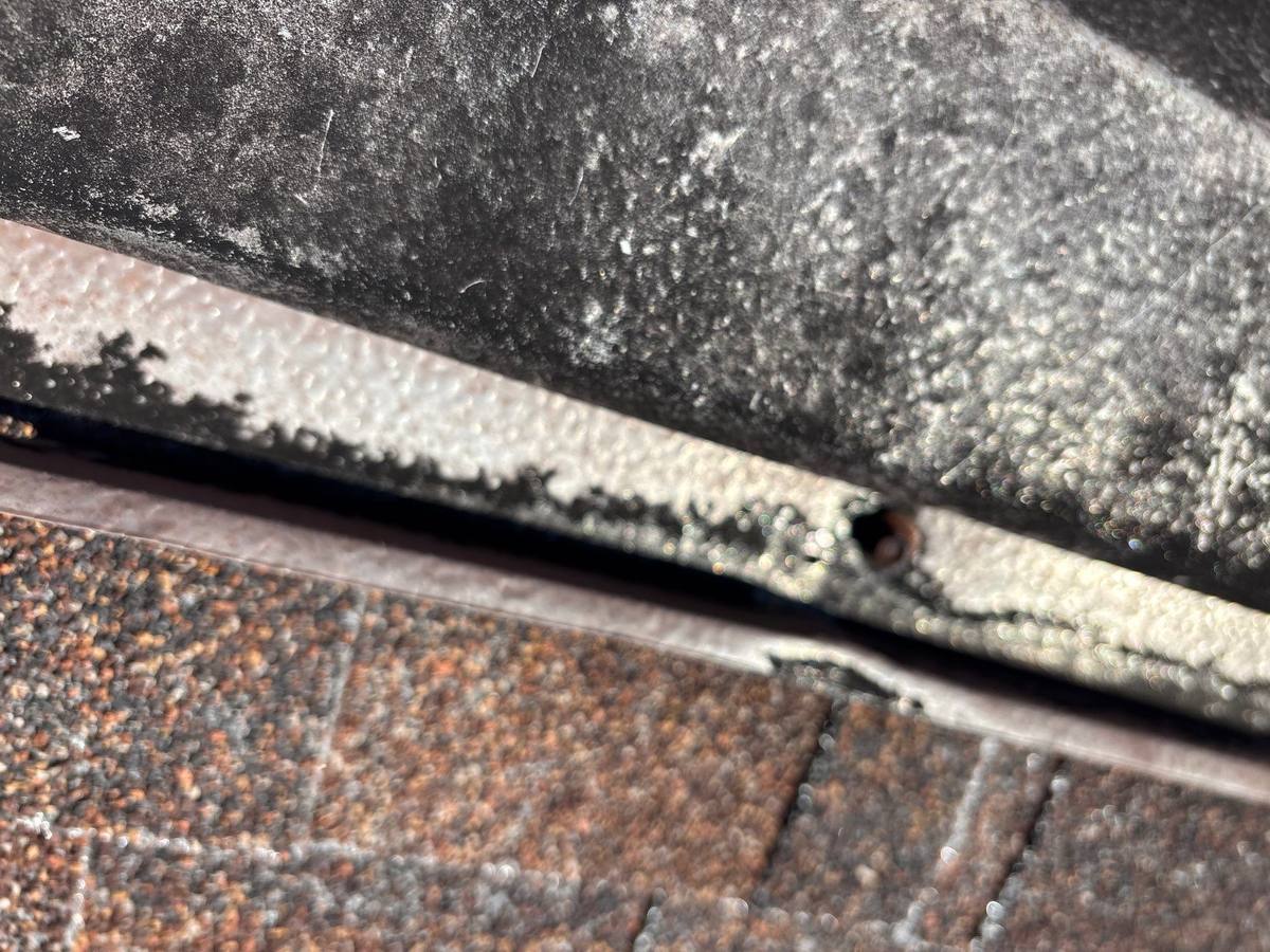 shingle roof replacement in Tampa, Florida