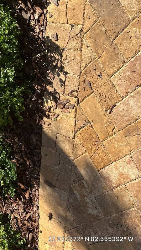 residential tile roof replacement by Hloska Roofing in Tampa