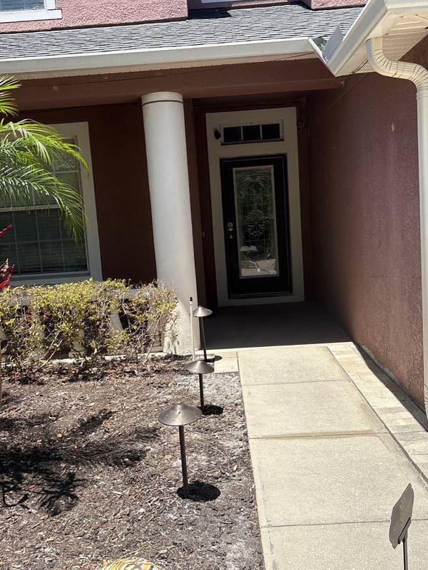 shingle roof replacement in Wesley Chapel, Florida