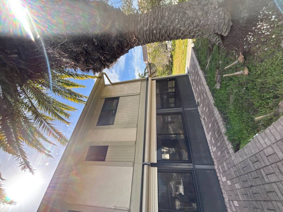 shingle roof replacement in New Port Richey, Florida