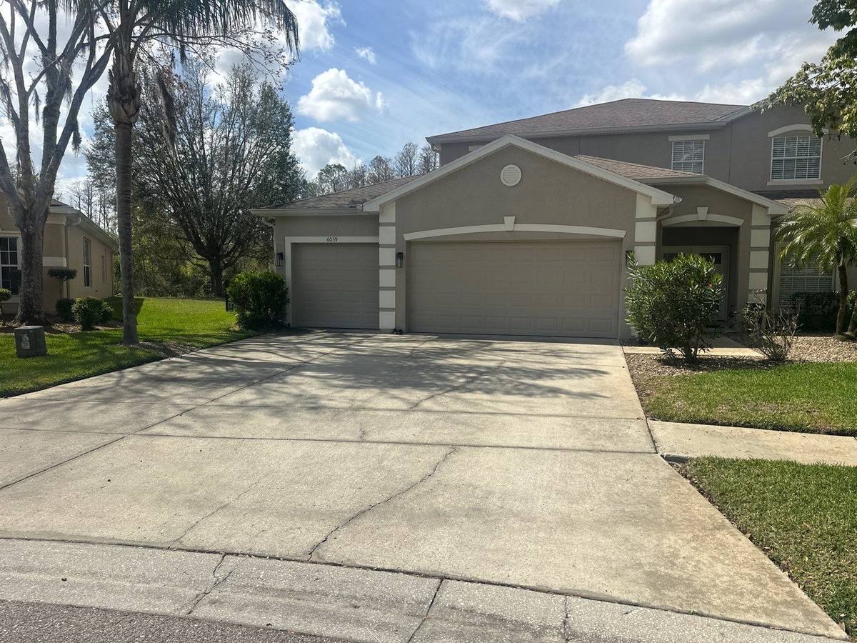shingle roof replacement in Land O Lakes, Florida