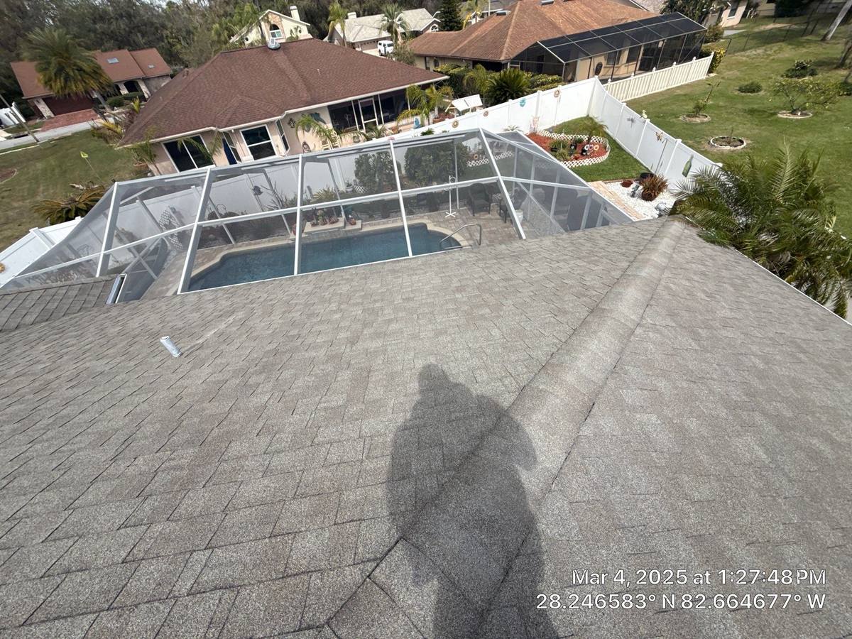 shingle roof replacement in New Port Richey, Florida