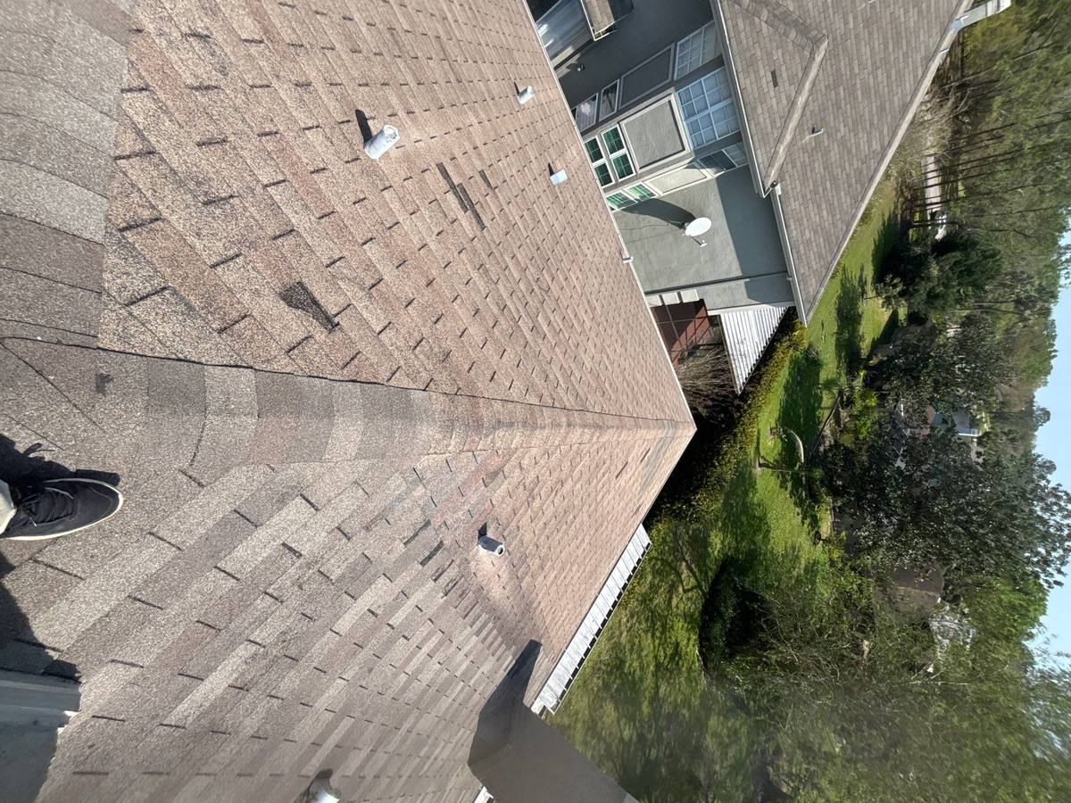 shingle roof replacement in Tampa, Florida
