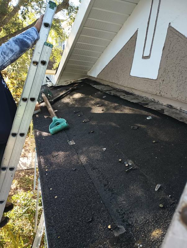 roofing project near Blue Magnolia Rd in Brandon