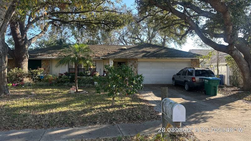 residential shingle roof replacement by Hloska Roofing in Palm Harbor