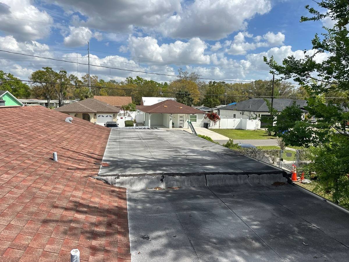 shingle roof replacement in Tampa, Florida