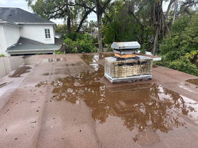 completed roofing project in Tampa FL