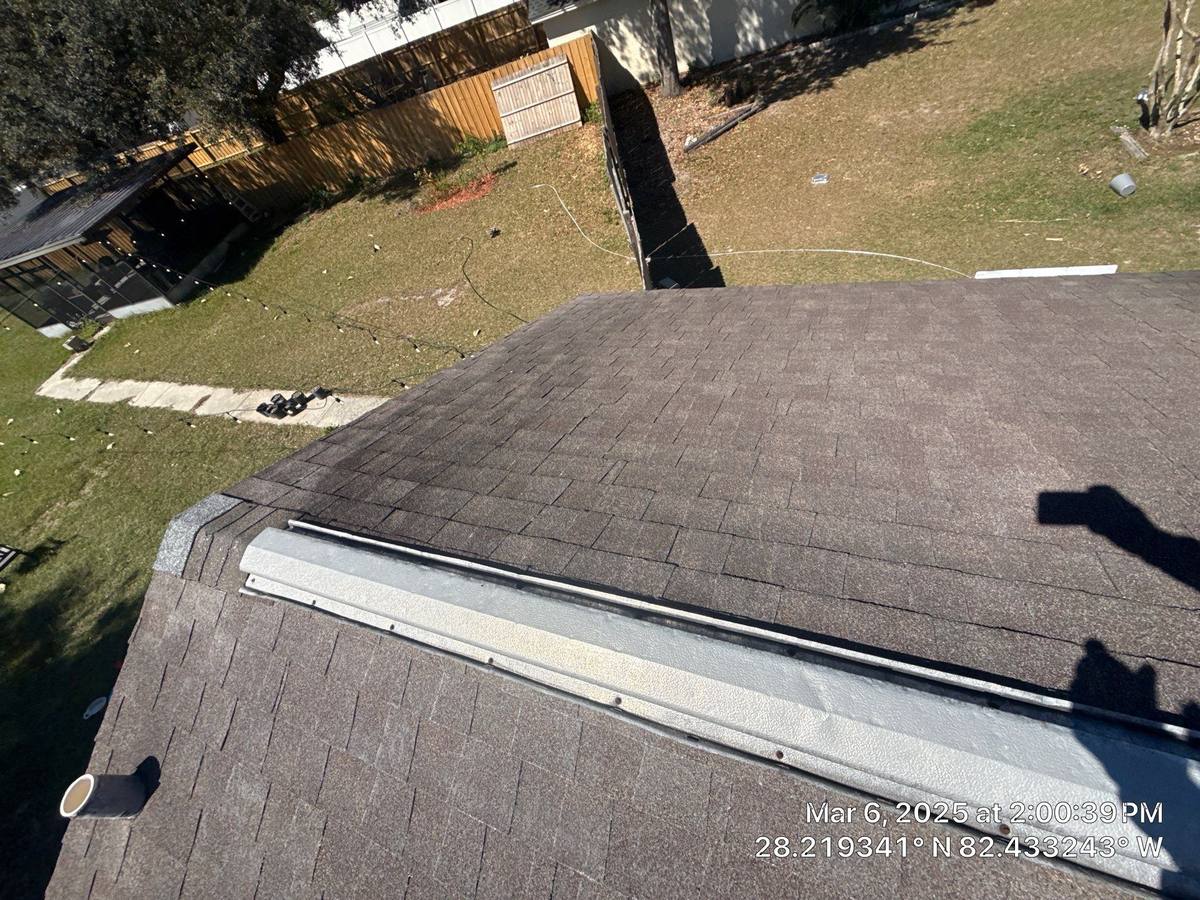 shingle roof replacement in Land O Lakes, Florida