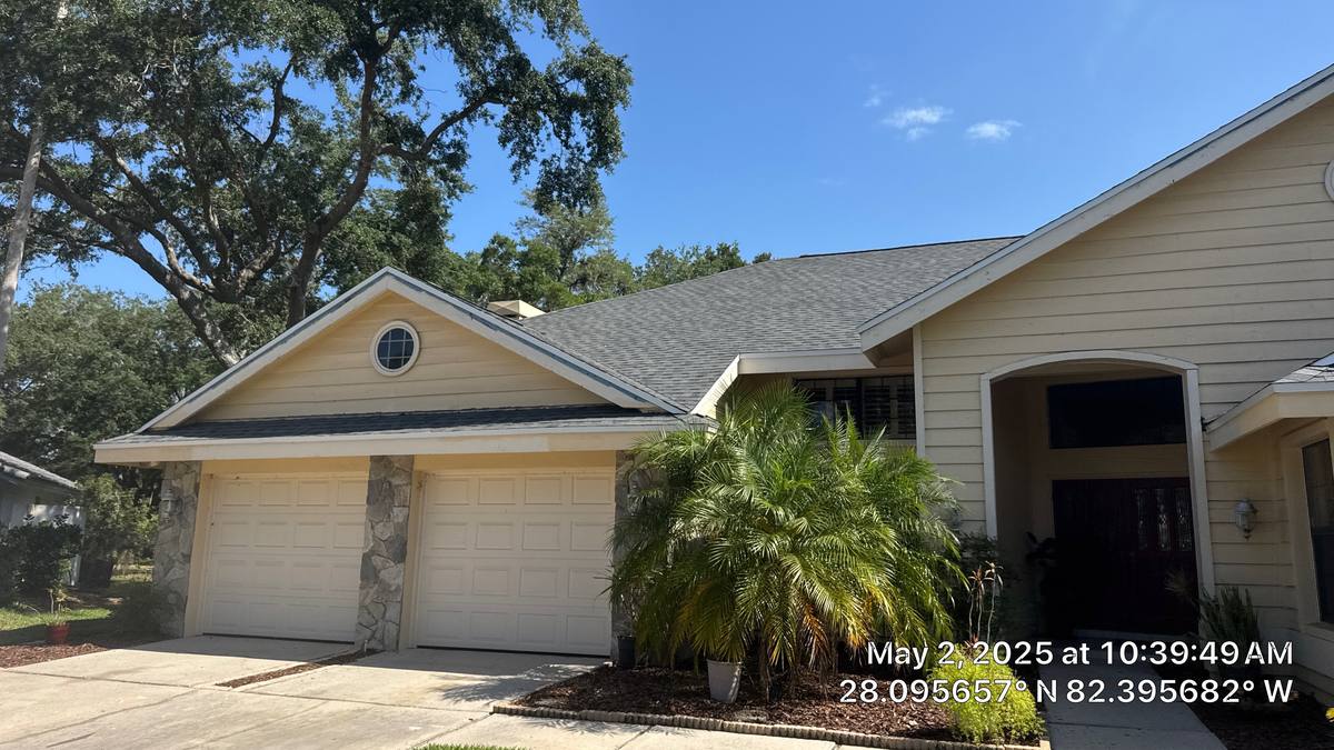 shingle roof replacement in Tampa, Florida