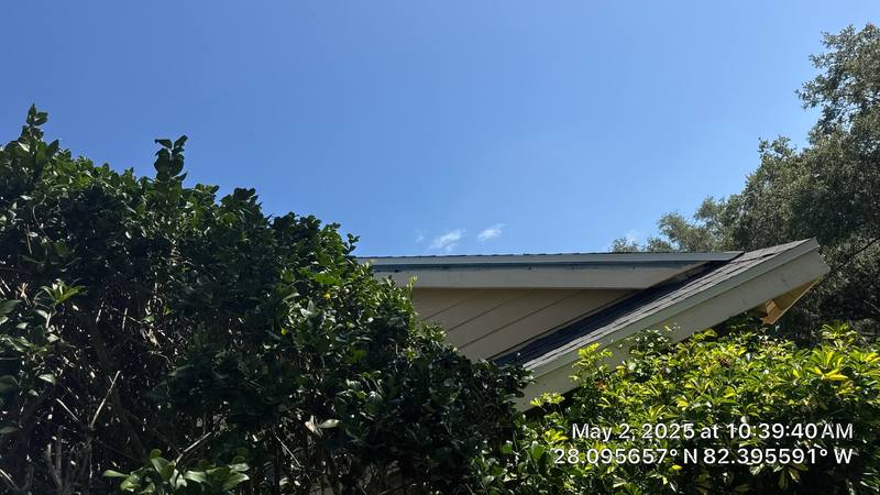 shingle roof replacement in Tampa, Florida